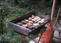 MINOLTA DIGITAL CAMERA